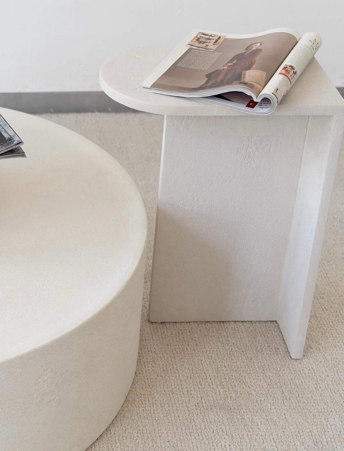 נשכן דמוי אבן