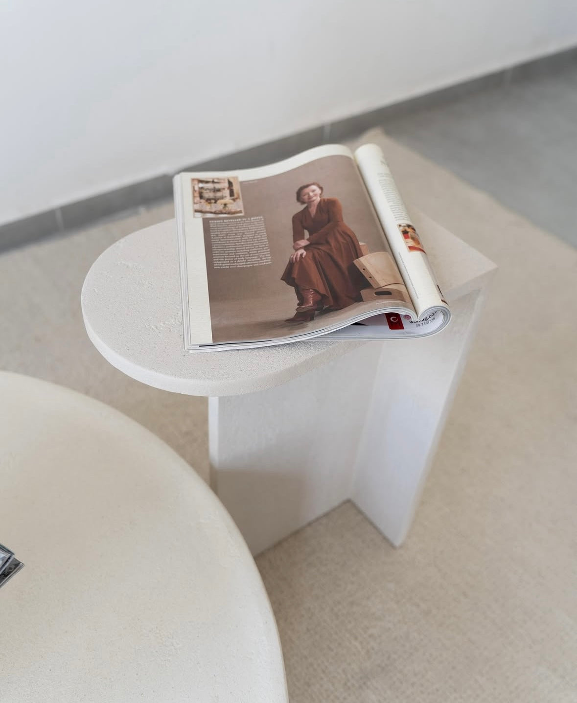 נשכן דמוי אבן