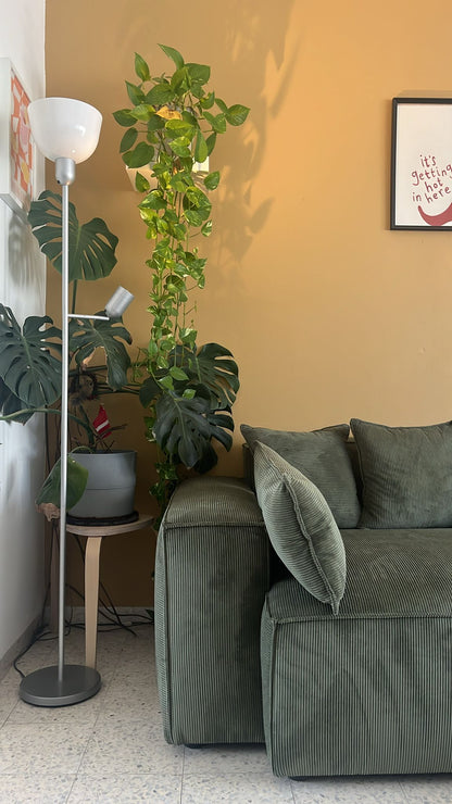 ספת רביצה דגם Bear