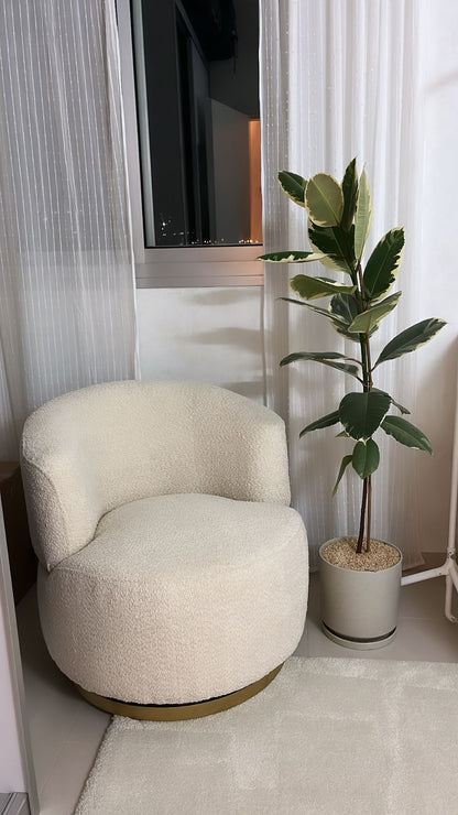 דגם ראיינבאו